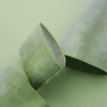 Why Not All Aloe is Equal - And What Makes Ours Exceptional